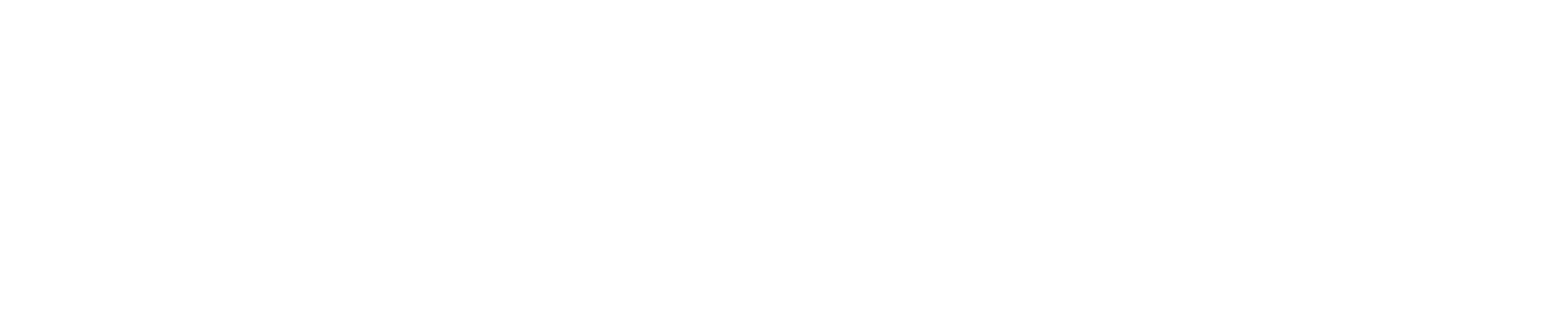 Bracketology Logo White